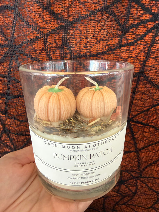 Pumpkin Patch - 12oz